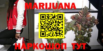 спиды Обь