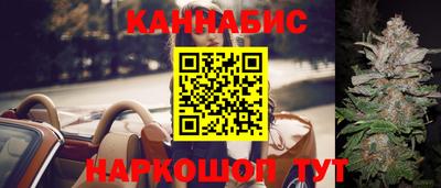 спиды Обь