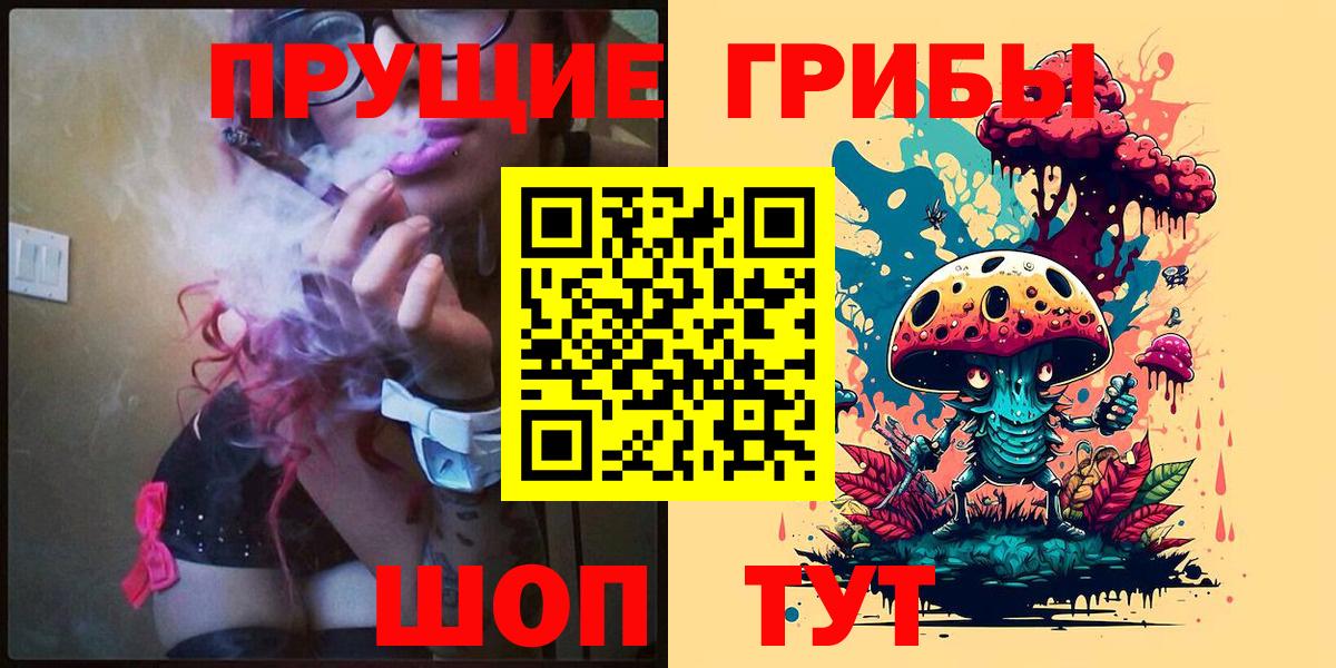 Галлюциногенные грибы Psilocybine cubensis Алексин