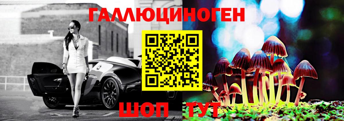 Галлюциногенные грибы MAGIC MUSHROOMS  Вход с VPN  Алексин  Галлюциногенные грибы Magic Shrooms 